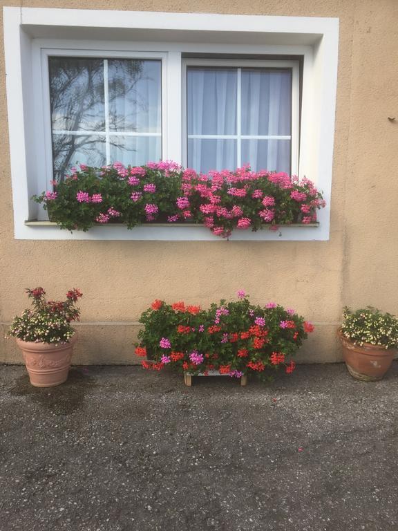 Ferienwohnungen Koessl Waidhofen an der Ybbs Exterior photo