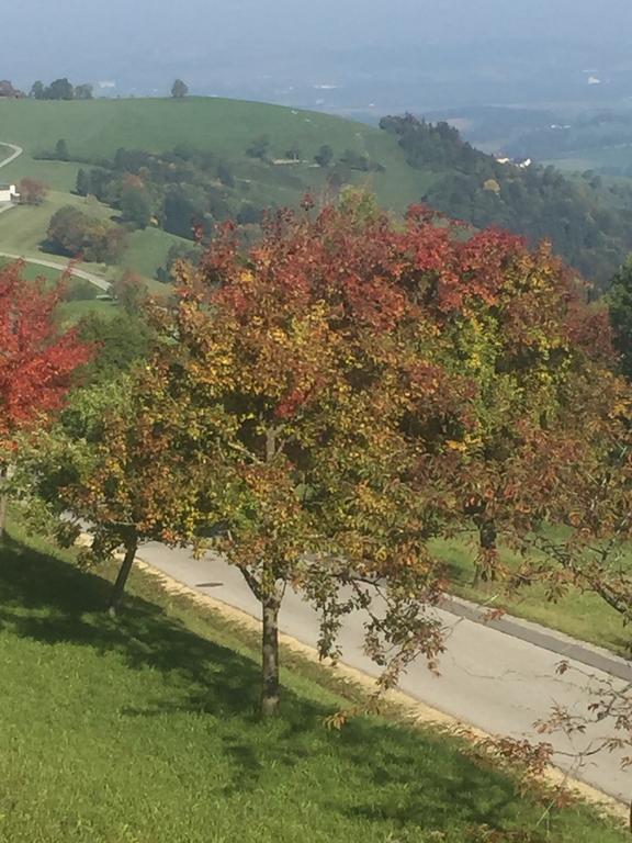 Ferienwohnungen Koessl Waidhofen an der Ybbs Exterior photo