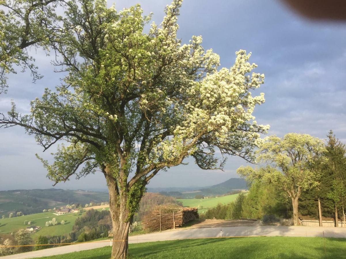 Ferienwohnungen Koessl Waidhofen an der Ybbs Exterior photo