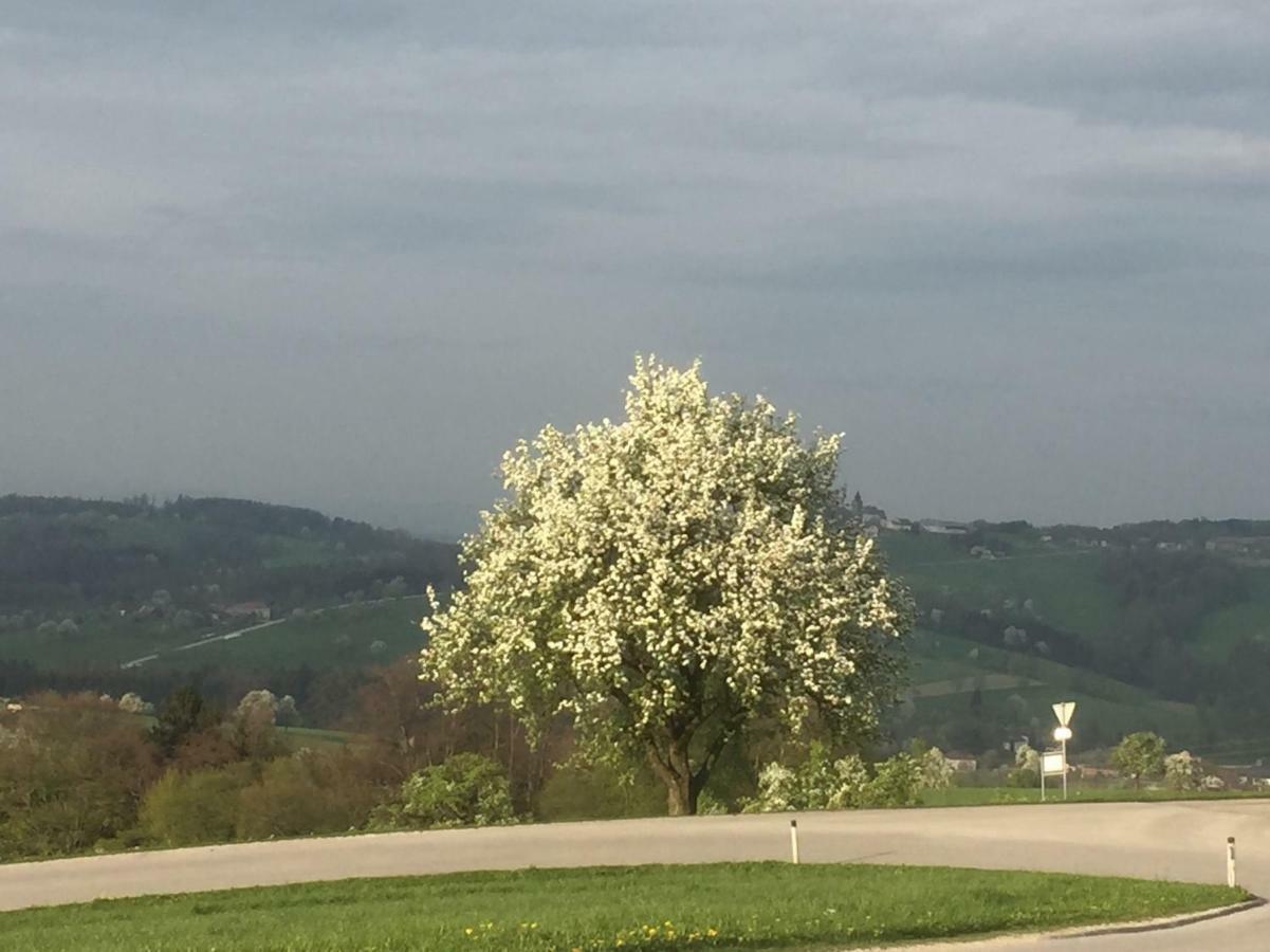 Ferienwohnungen Koessl Waidhofen an der Ybbs Exterior photo