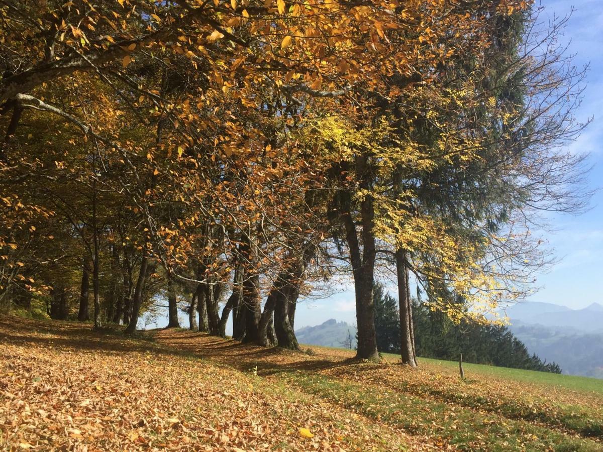 Ferienwohnungen Koessl Waidhofen an der Ybbs Exterior photo