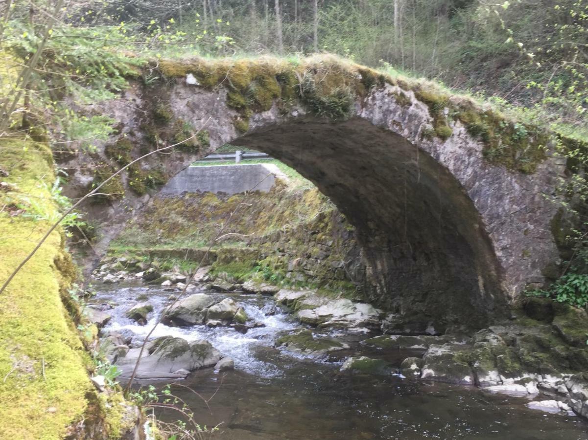 Ferienwohnungen Koessl Waidhofen an der Ybbs Exterior photo