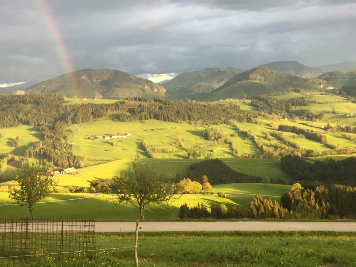 Ferienwohnungen Koessl Waidhofen an der Ybbs Exterior photo
