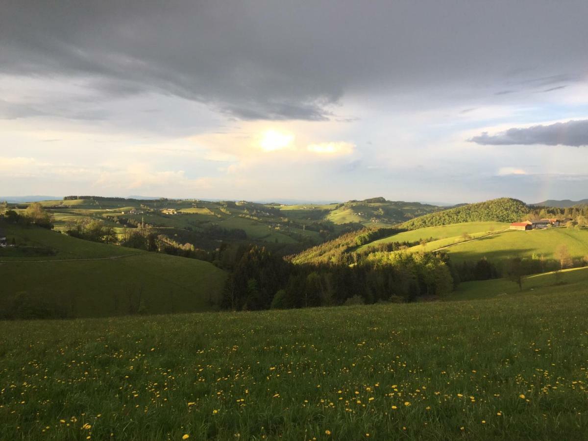 Ferienwohnungen Koessl Waidhofen an der Ybbs Exterior photo