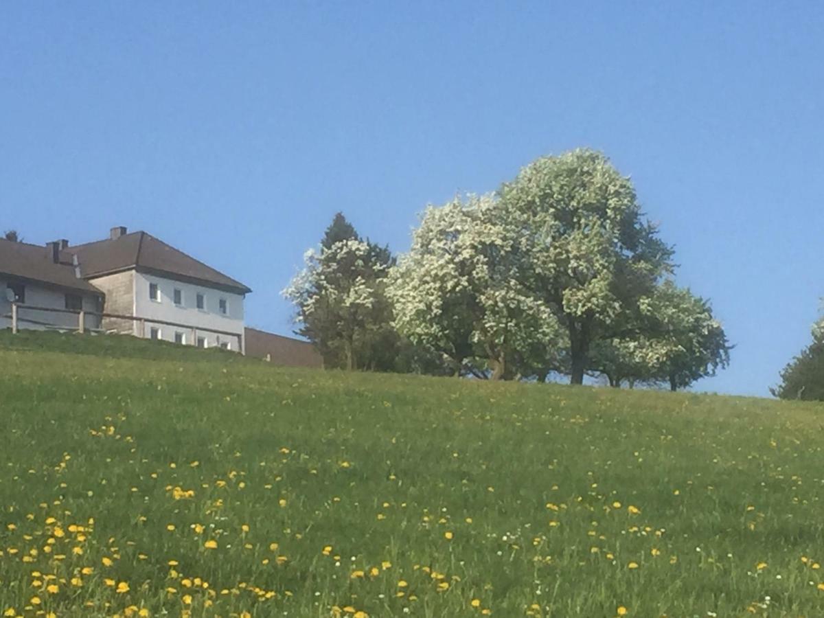Ferienwohnungen Koessl Waidhofen an der Ybbs Exterior photo